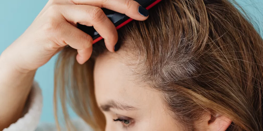 Fresh Amla and Bhringaraj leaves, key herbs in Ayurvedic Hair Care Tips.