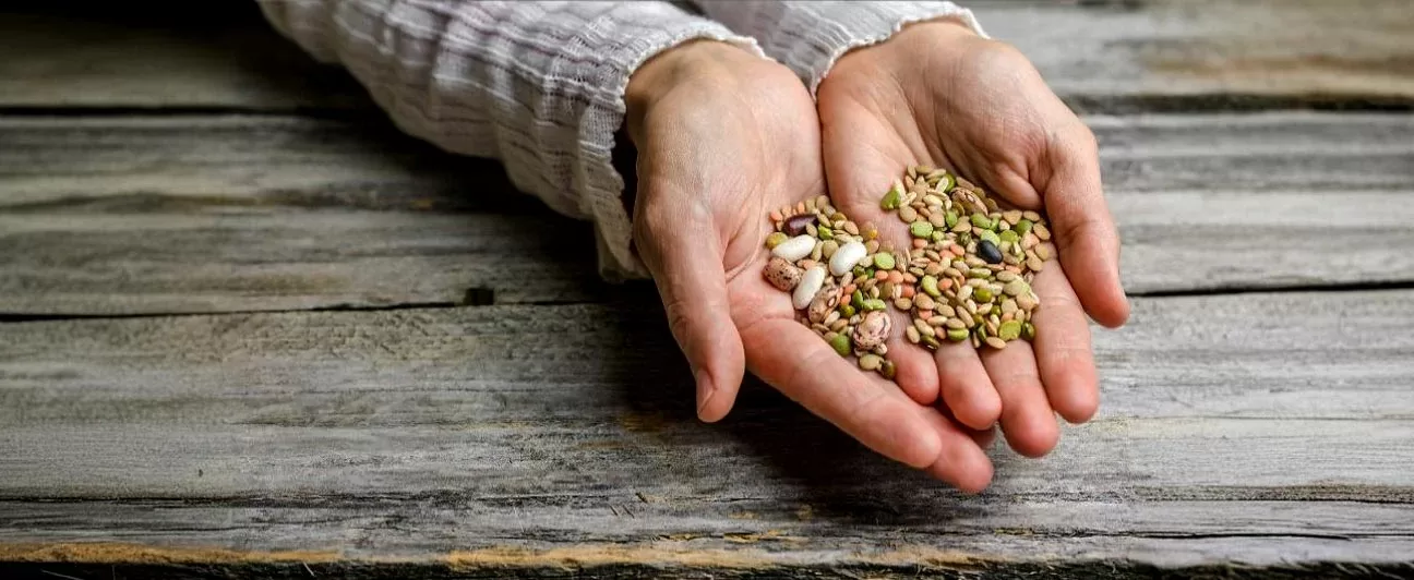 Four types of seeds (Flax, Pumpkin, Sesame, Sunflower) arranged to show the two distinct phases of the menstrual cycle, illustrating Seed Cycling for Hormonal Balance.