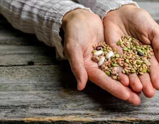 Four types of seeds (Flax, Pumpkin, Sesame, Sunflower) arranged to show the two distinct phases of the menstrual cycle, illustrating Seed Cycling for Hormonal Balance.
