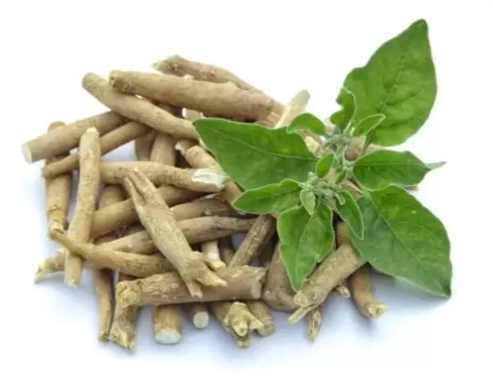 what-is-ashavgandha-good-for
