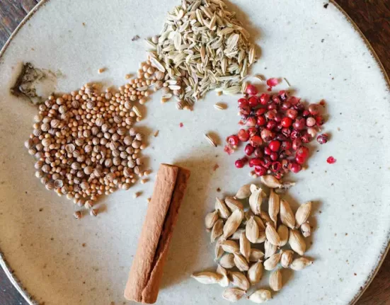 ayurveda-guide-sattvic-foods