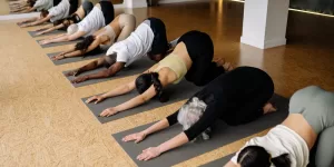 A diagram highlighting the hamstring muscles and their connection to the low back and pelvis.