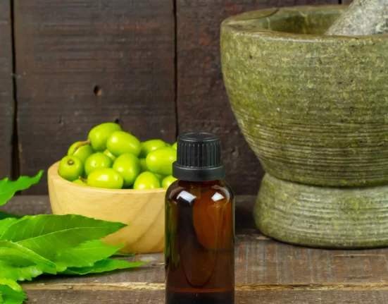 A selection of Ayurvedic herbs (Turmeric, Sandalwood, Neem), key to the Ayurvedic Skincare Routine.