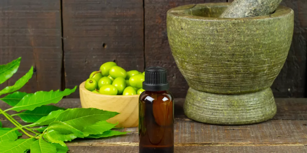 A selection of Ayurvedic herbs (Turmeric, Sandalwood, Neem), key to the Ayurvedic Skincare Routine.