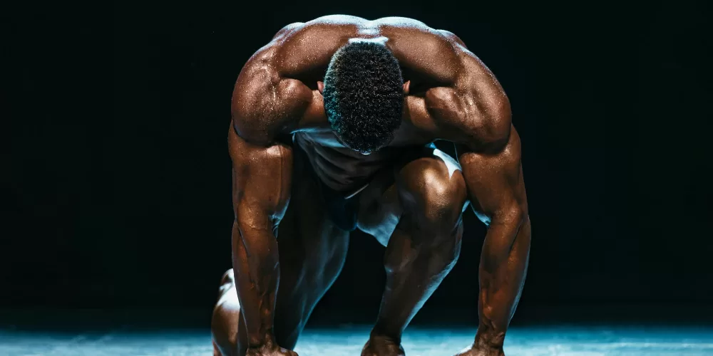 A bowl of paneer and chana masala, excellent Indian Foods for Muscle Gain.